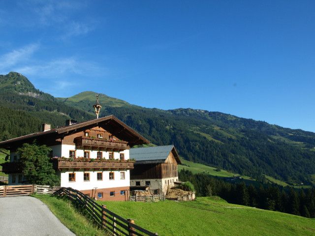 Biohof-Maurachgut-Sommer-Gasteinertal-Natur.JPG