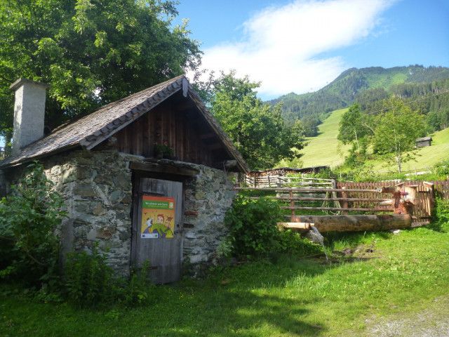 Biohof Maurachgut-Sommerlandschaft-Waschkuchl.JPG