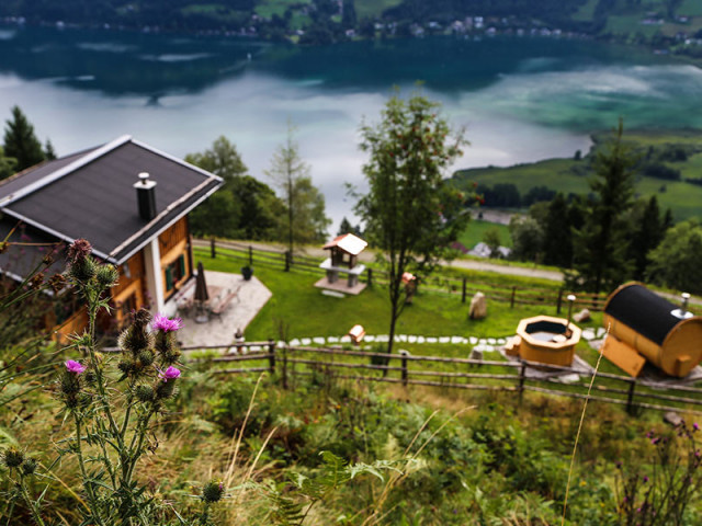 Entwies Alm