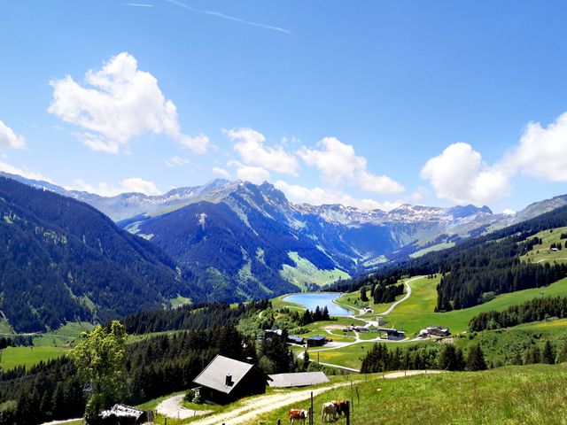 Pension Falkenstein