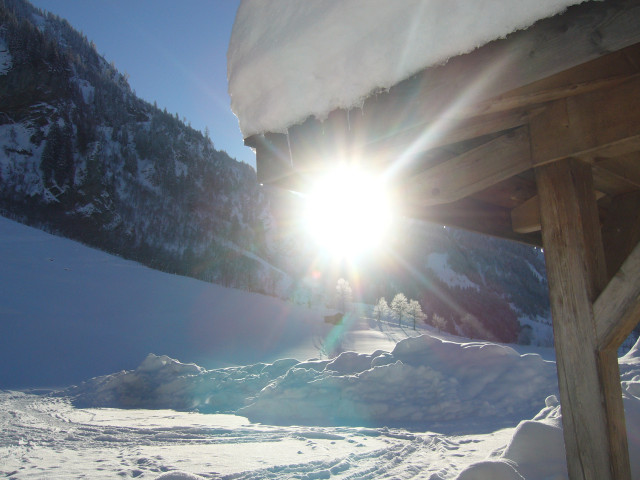 Ferienhaus Aschauhütte im Großarltal