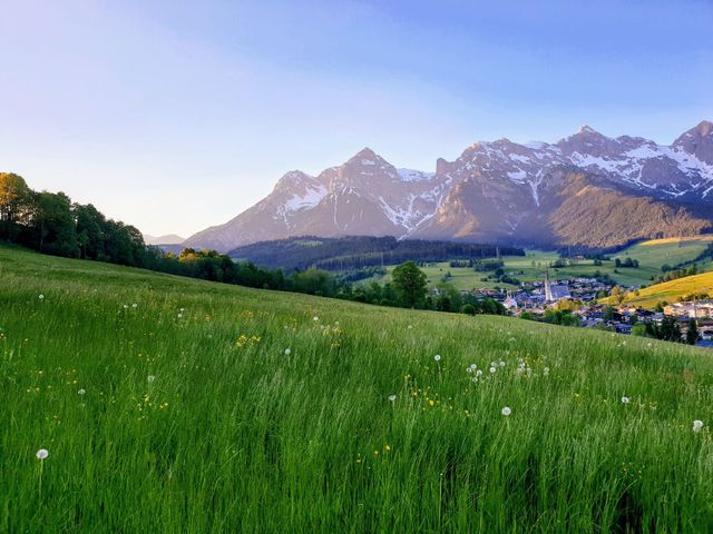 Bauernhof Stegerbauer